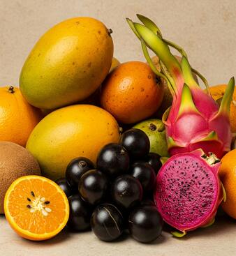 pexels jair cipriano 76507517 305423121