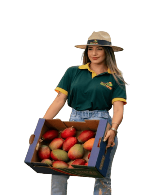 pexels pedrofurtadoo 31095034 removebg preview11