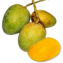 গোপাল ভোগ আম