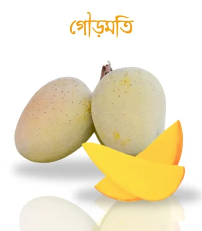 গৌড়মতি 400x457 1